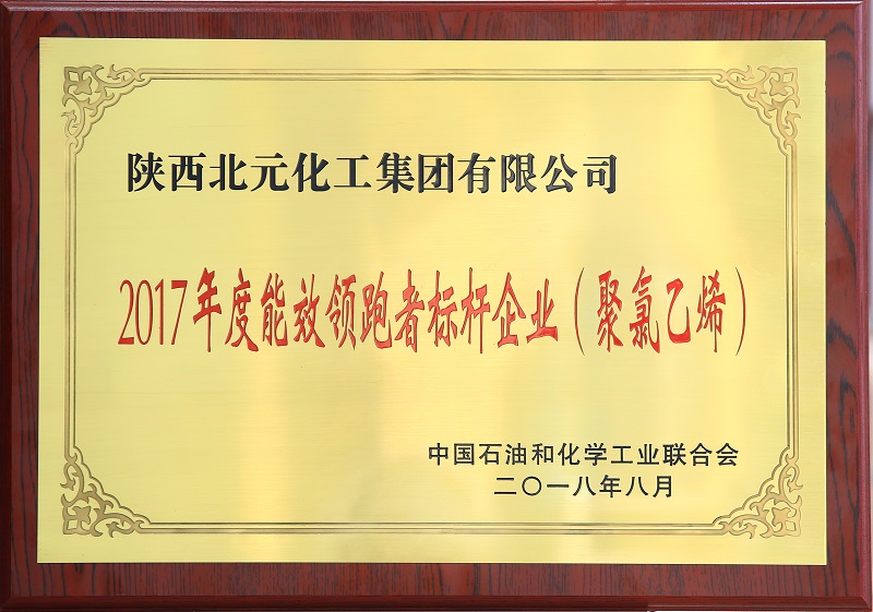 2017年度能效领跑者标杆企业（聚氯乙烯）.jpg